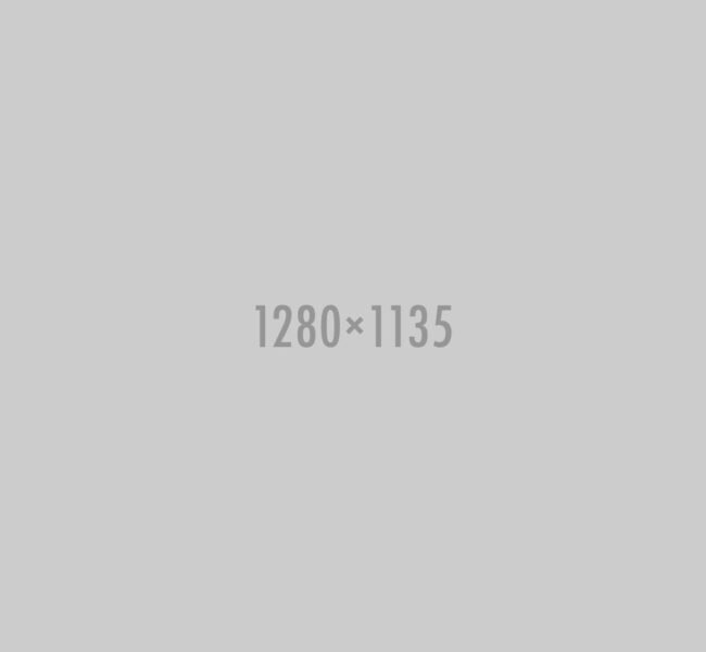 100 binner